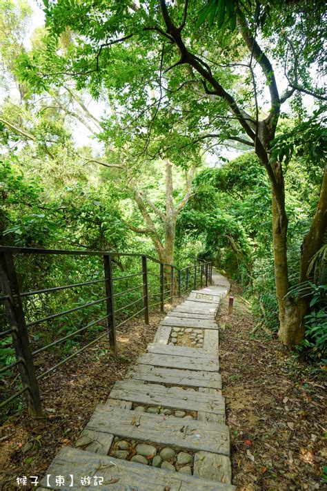 過龍脈|[雲林] 林內龍過脈森林登山步道 交通方便好停車 鳥居 風景 美食一。